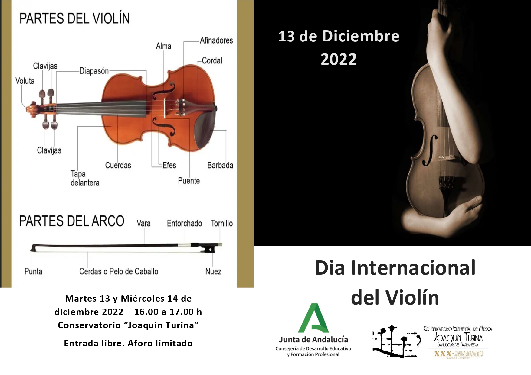 DIA INTERNACIONAL DEL VIOLIN – 13 DE DICIEMBRE